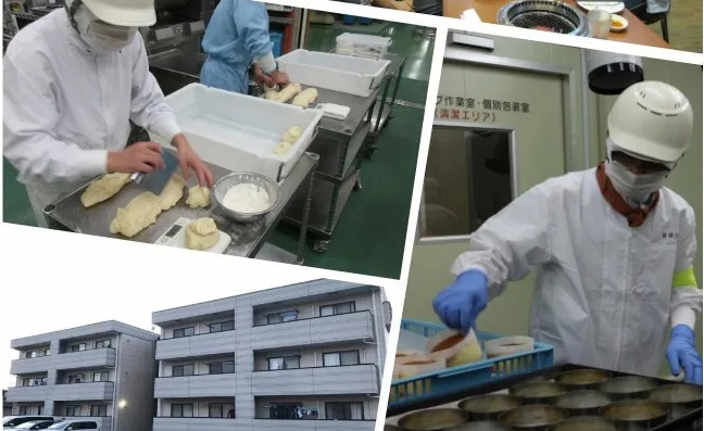 日本2020年8月新單匯總！